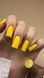 , 6 ml